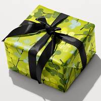 Berry Branches Gift Wrap Paper (Closeout) 