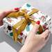 Holiday Safari Gift Wrap Paper - XB632