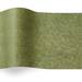 Olive Green Tissue Paper - CT2030-OL