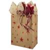 Primitive Star Paper Shopping Bags (Cub - Full Case)