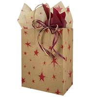 Primitive Star Paper Shopping Bags (Cub - Mini Pack) 