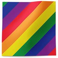 Rainbow Stripe Tissue Paper 