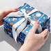 Sports Gift Wrap Paper - B154