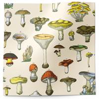 Toadstools Tissue Paper (New) 