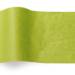 Aloe Tissue Paper — Bright vivid chartreuse/lime green tissue paper sheet, smooth finish