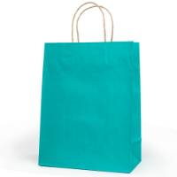 Aqua J-Cut Shopping Bag with Twisted Paper Handle