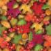 Autumn Leaves Gift Wrap Paper — classic autumn leaves pattern gift wrapping paper