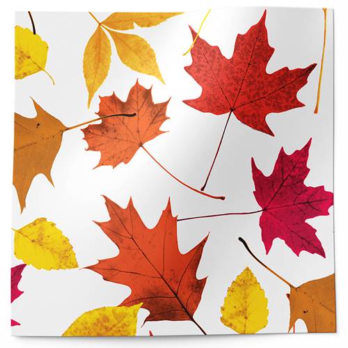 Autumn Leaves Tissue Paper