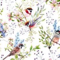 Backyard Birds Gift Wrap Paper — Backyard Birds everyday wrapping paper design
