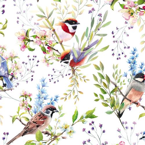 Backyard Birds Gift Wrap Paper — Backyard Birds everyday wrapping paper design