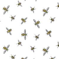 Bee Collection Tissue Paper 