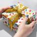 Blooms & Bugs Gift Wrap Paper - B254