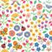 Blooms &amp; Bugs Gift Wrap Paper — Blooms &amp; Bugs everyday wrapping paper design