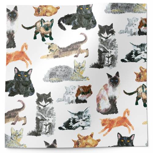 Cats and Kittens Printed Tissue Paper — Black cat and kitten silhouette illustrations scattered on white background