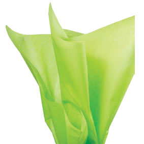 Citrus Green Eco Friendly Tissue Paper – Party Snobs