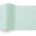 Cool Mint Tissue Paper — Soft pale mint green tissue paper sheet, smooth finish