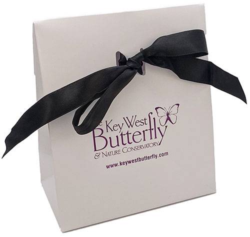 White with Black Ribbon
