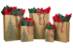 natural kraft paper shopping bag with evergreen forest printing
