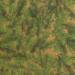 Evergreen Kraft Gift Wrap Paper — festive Evergreen Kraft holiday wrapping paper design