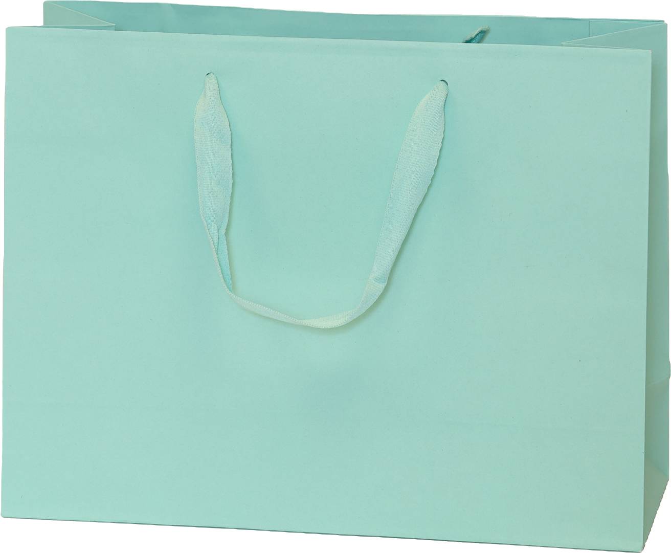 Robins Egg Blue