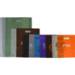 Frosted tint poly merchandise bags in assorted colors with die-cut handles — 14 x 3 x 21