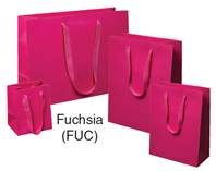 Fuchsia Manhattan Shopping Bag