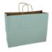 Solid glacier-mist green kraft paper shopping bag with twisted paper handles — 16 x 6 x 12
