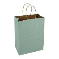 Solid glacier-mist green kraft paper shopping bag with twisted paper handles — 8 x 4 3/4 x 10 1/2