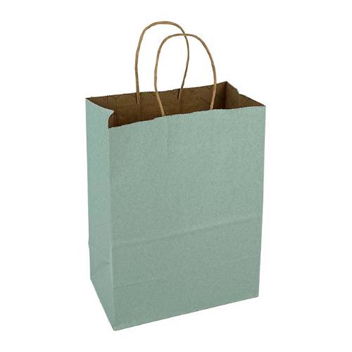 Solid glacier-mist green kraft paper shopping bag with twisted paper handles — 8 x 4 3/4 x 10 1/2