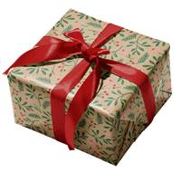 Harriett Kraft Gift Wrap Paper (New) 