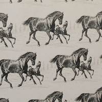 Horse and Foal Gift Wrap Paper