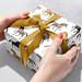 Horsing Around Gift Wrap Paper - B125