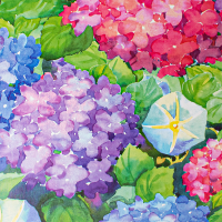 Hydrangeas Gift Wrap Paper — classic hydrangeas pattern gift wrapping paper