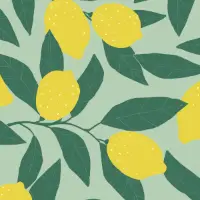 Ilse Gift Wrap Paper — Ilse everyday wrapping paper design