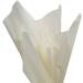 Khaki Tissue Paper — Warm tan/beige, neutral earth tone tissue paper sheet, smooth finish