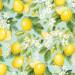 Lemon Tree Gift Wrap Paper — classic lemon tree pattern gift wrapping paper