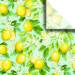 Lemon tree printed tissue paper with yellow lemons, green leaves, and white blossoms