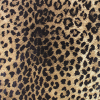 Leopard Print Gift Wrap Paper