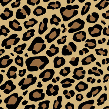 Leopard - Wholesale Tissue Paper Designs - Made in USA