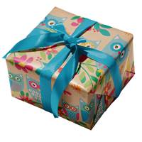 Levin Gift Wrap Paper (New) 