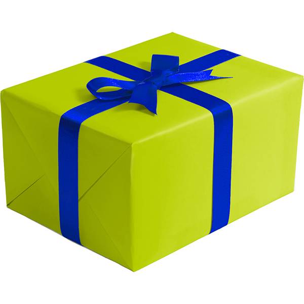 Solid Gift Wrap Paper Lime Gift Wrap Paper B941