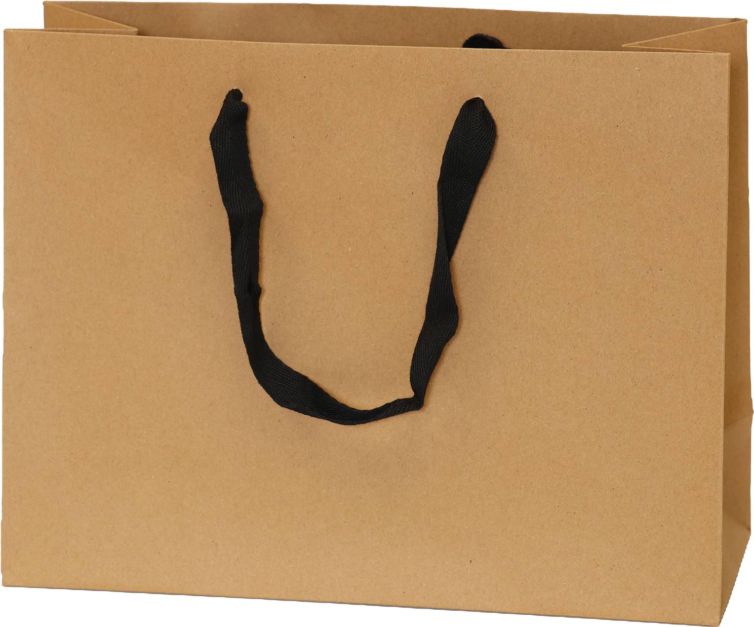 Kraft Bag/Black Handles