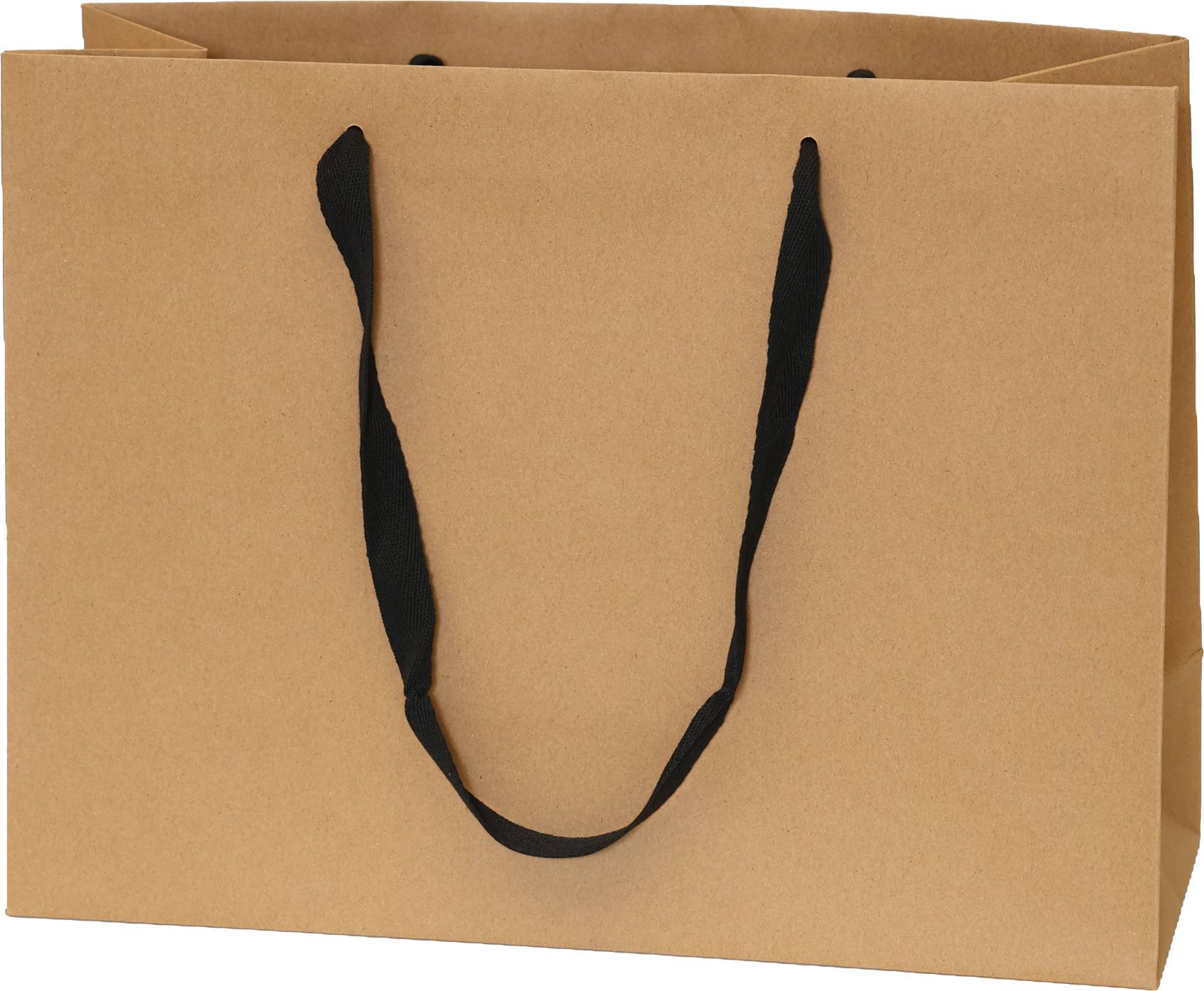 Kraft Bag/Black Handles
