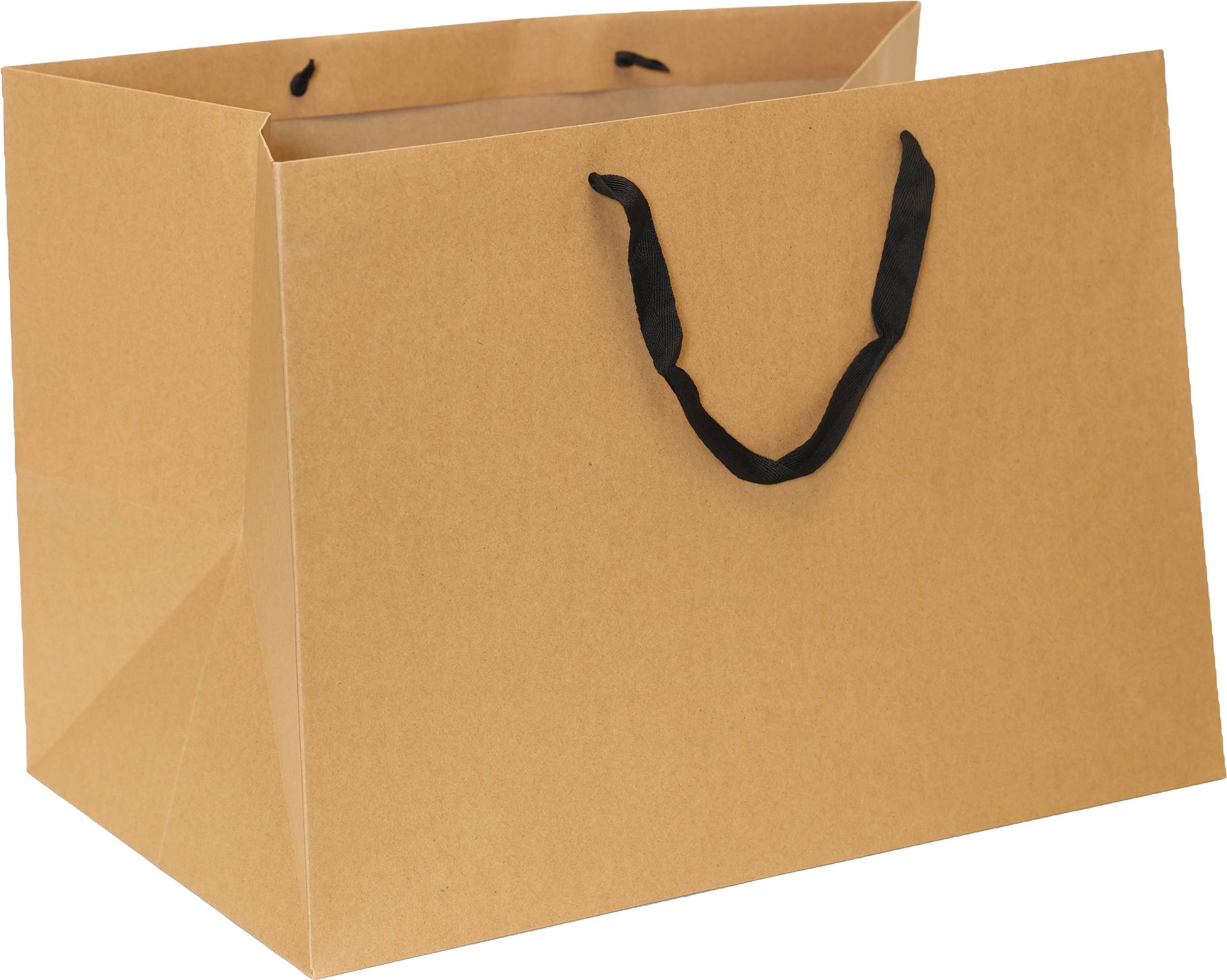 Kraft Bag/Black Handles