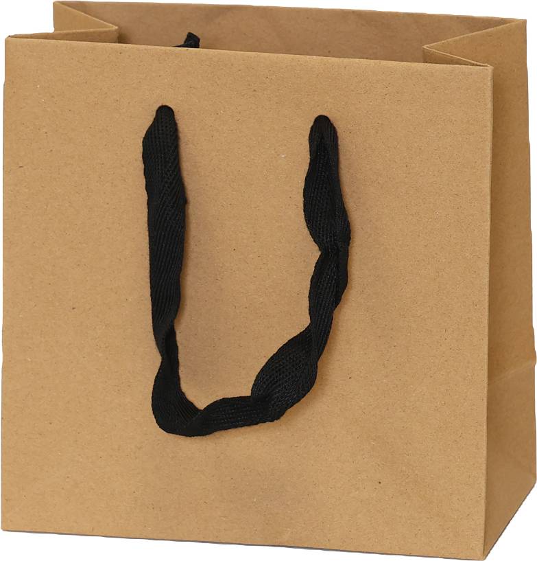 Kraft Bag/Black Handles