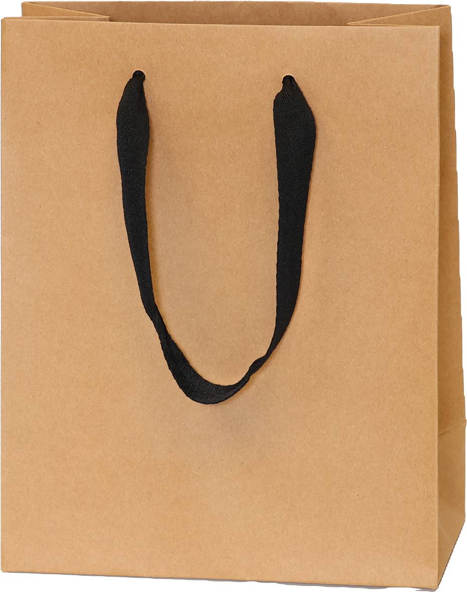 Kraft Bag/Black Handles