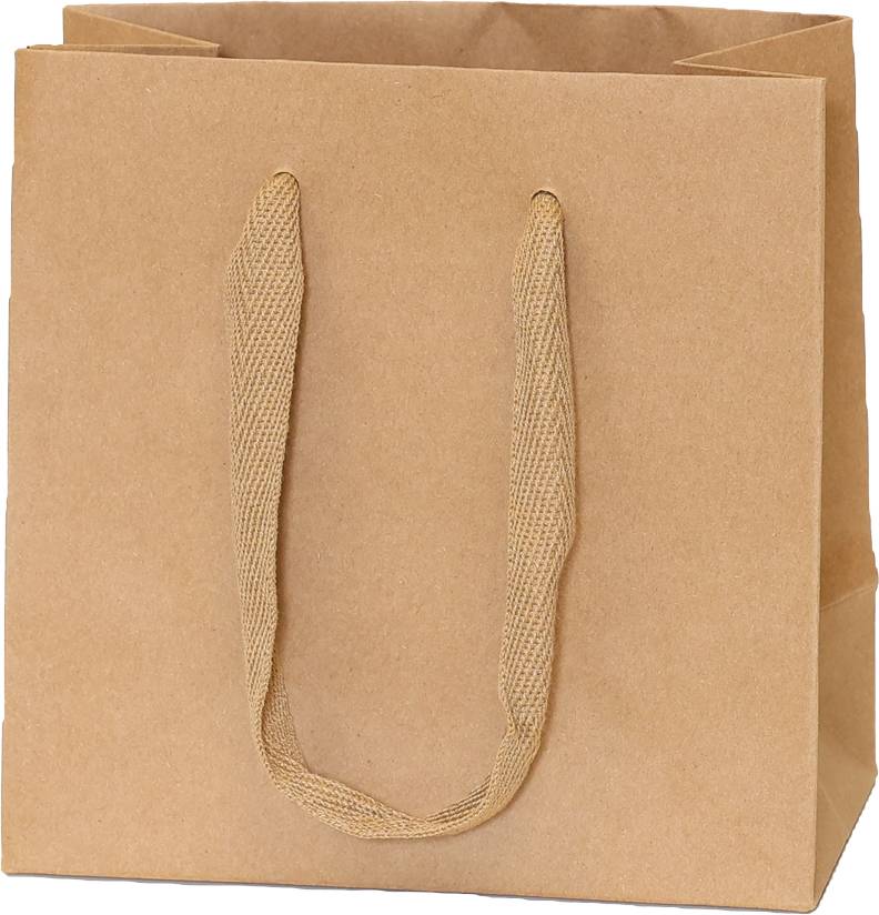 Kraft Bag/Kraft Handles