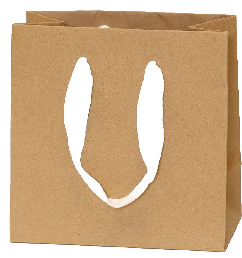 Kraft Bag/White Handles