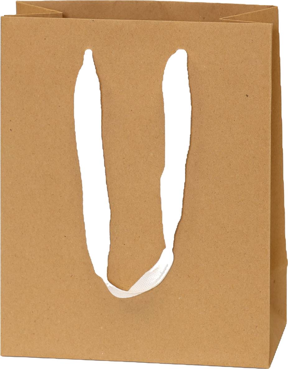 Kraft Bag/White Handles