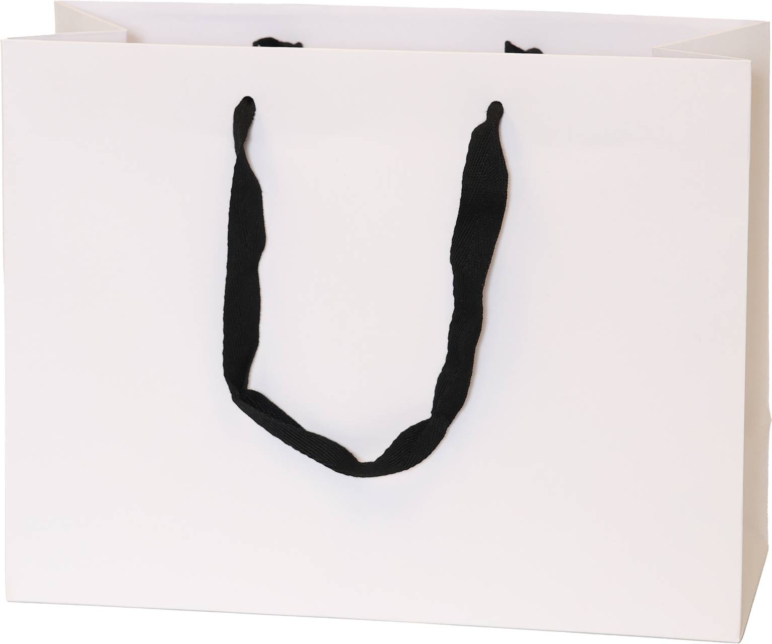 White Bag/Black Handles
